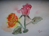 aquarelle