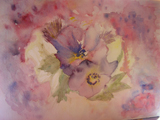 aquarelle