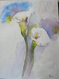 aquarelle